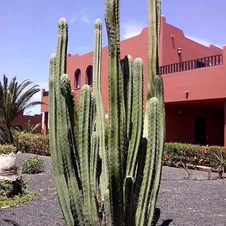 Marvida Oasis Tamarindo A Corralejo