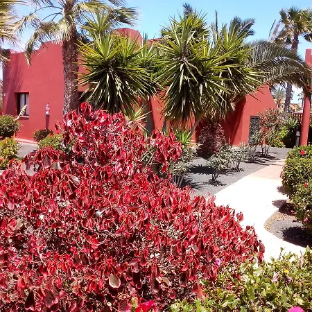 Appartement Marvida Oasis Tamarindo A *